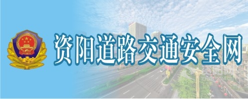 www.涩插操资阳道路交通安全网